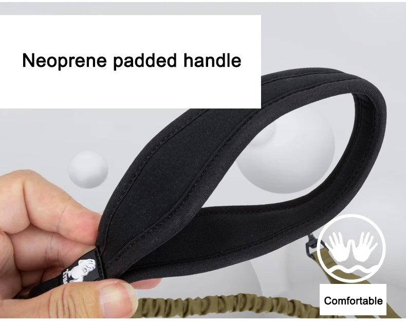 Flexible Bungee Dog Leash With Cushioned Handle