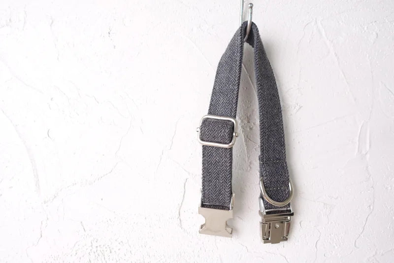 The GRAY SUIT Engraved Dog Collar