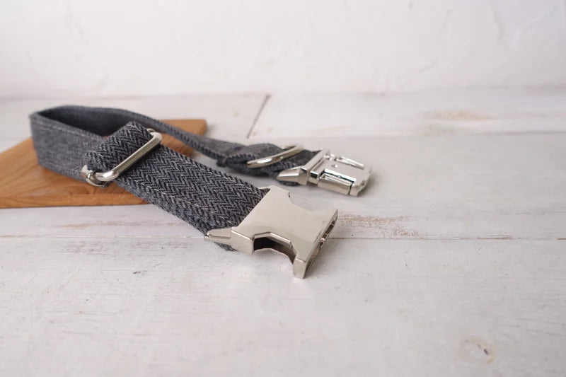 The GRAY SUIT Engraved Dog Collar
