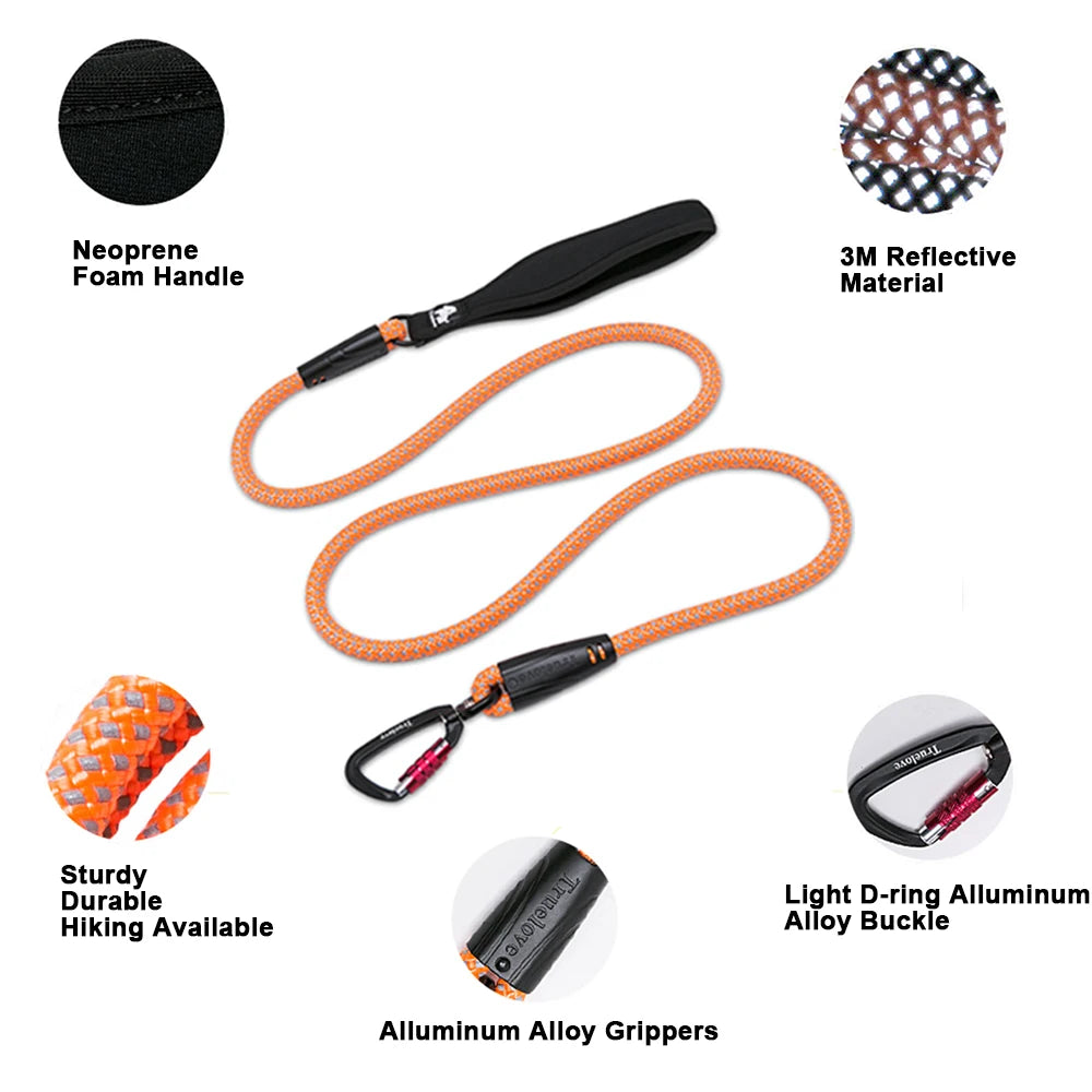 Nylon Dog Lead With Neoprene Handle