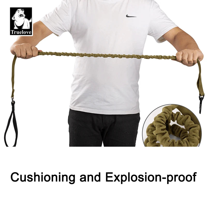 Flexible Bungee Dog Leash With Cushioned Handle