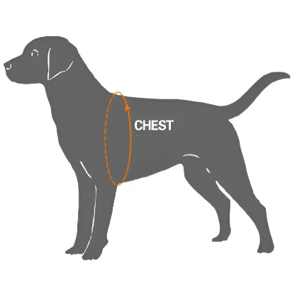 Urban Step In Dog Harness