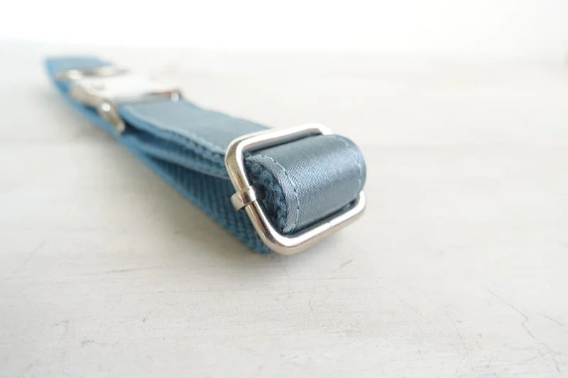 THE BLUE ICE Engraved Dog Collar