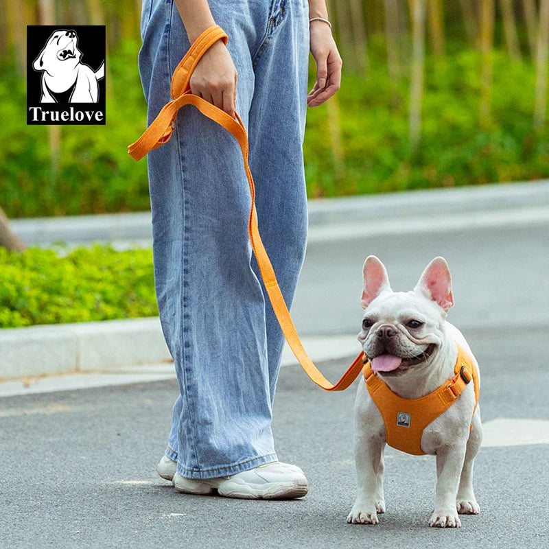 Eco-Friendly Multi-Handle Dog Lead
