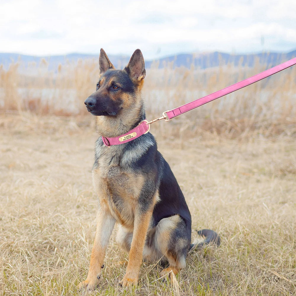 PU Leather Personalised Dog Collar & Leash