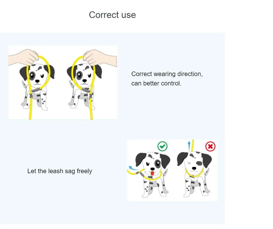 Durable Slip Rope Dog Lead