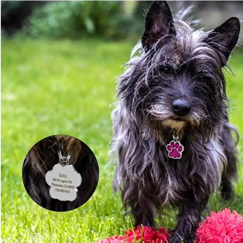 Glitter Paw Print Dog ID Tag