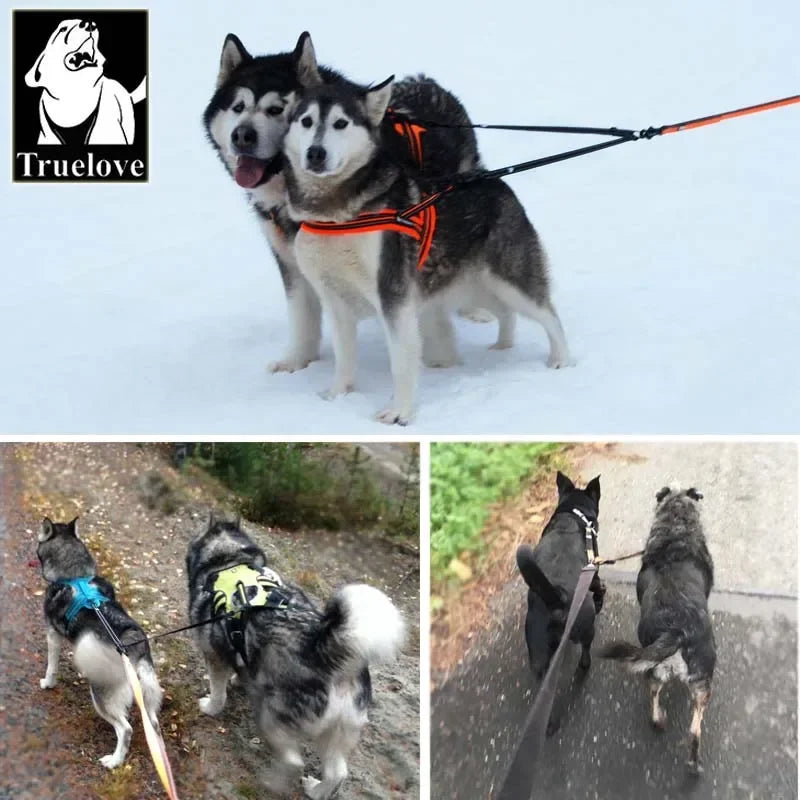 Reflective Nylon Double Dog Leash Splitter