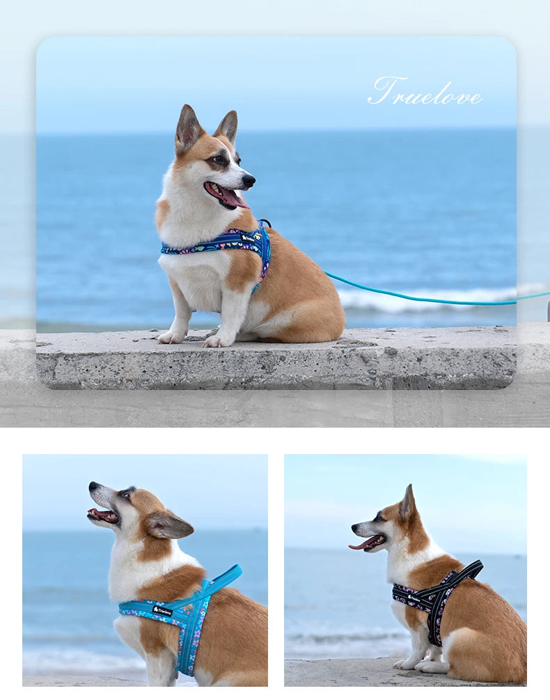 Padded Quick Fit Dog Harness