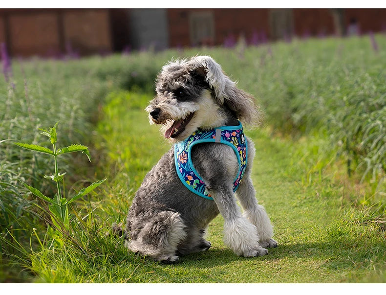 Soft Mesh No Pull Adjustable Dog Harness