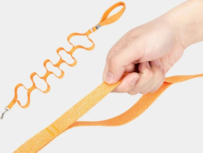 Eco-Friendly Multi-Handle Dog Lead