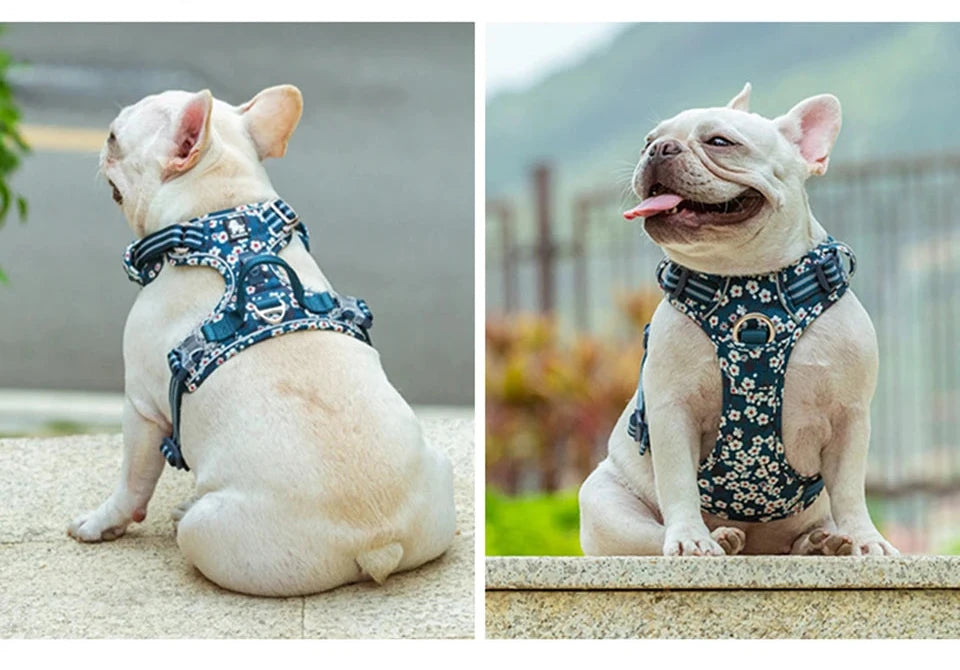 Floral No Pull Dog Harness