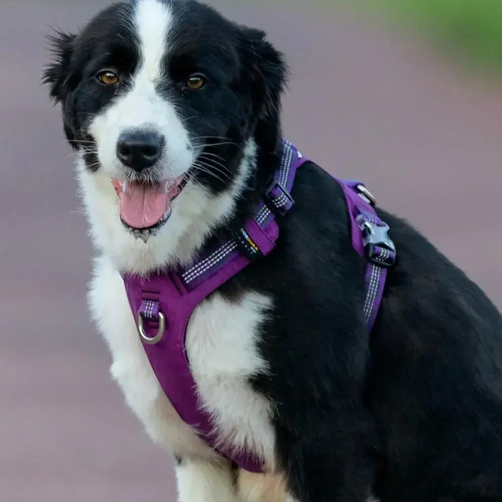 Ultra Light No Pull Dog Harness