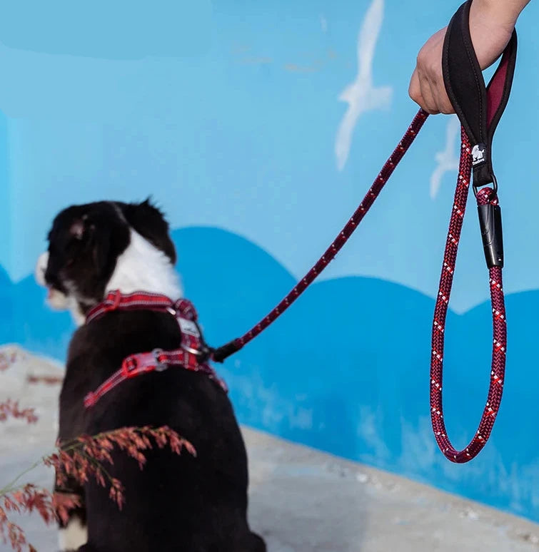 Reflective Padded Handle Dog Lead