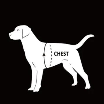 Eco Friendly No Pull Dog Harness