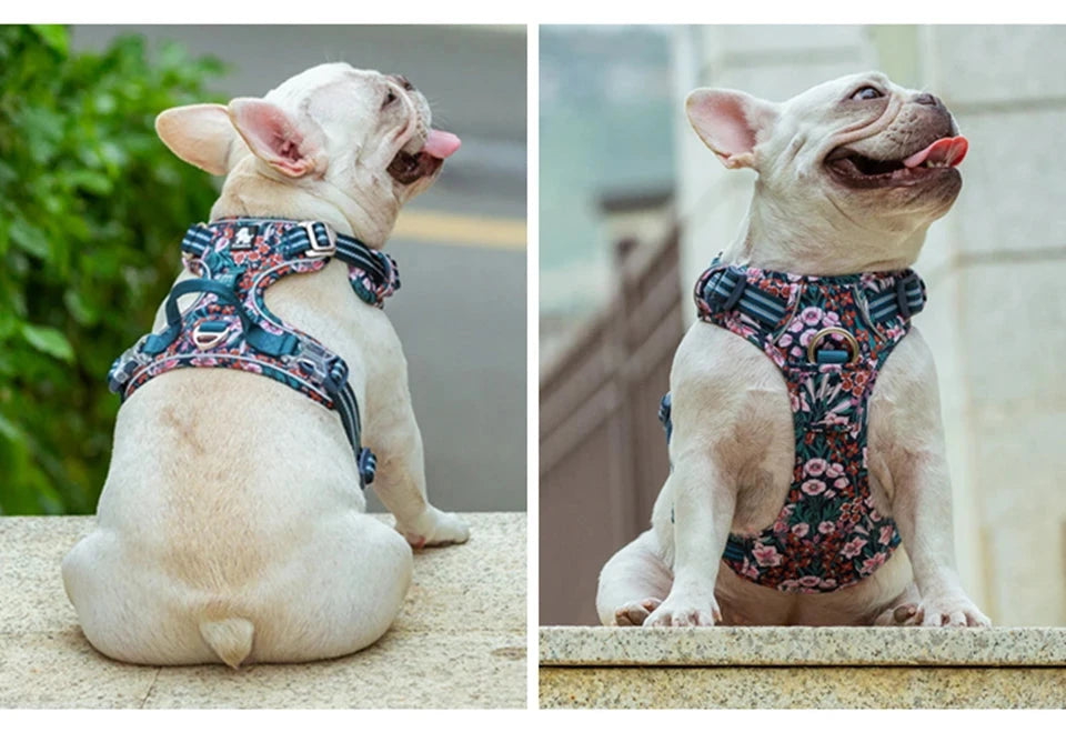 Floral No Pull Dog Harness