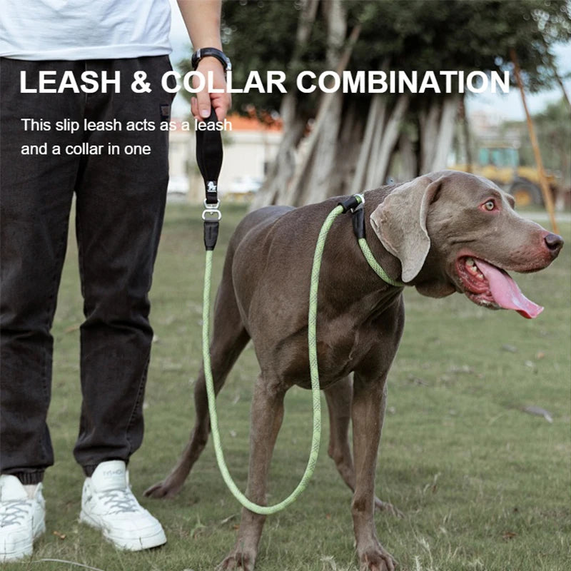 Durable Slip Rope Dog Lead