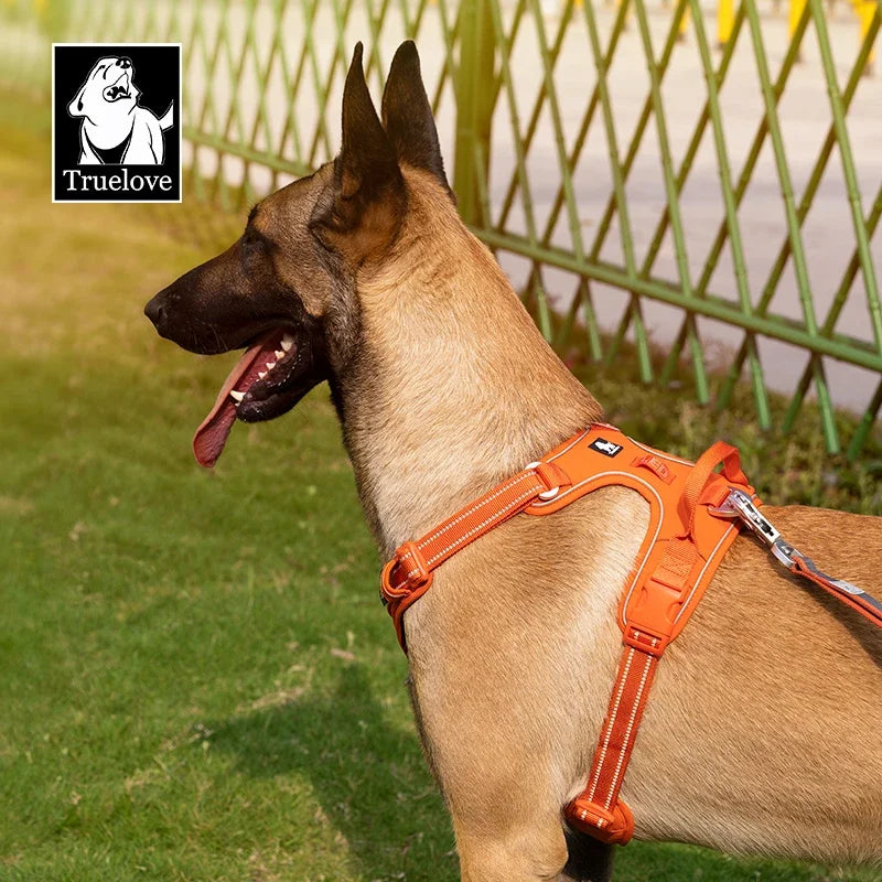 Adventurer No Pull Durable Dog Harness