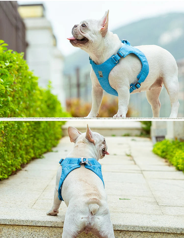 Eco Friendly No Pull Dog Harness