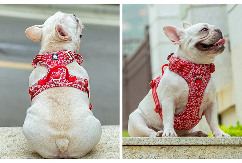 Floral No Pull Dog Harness