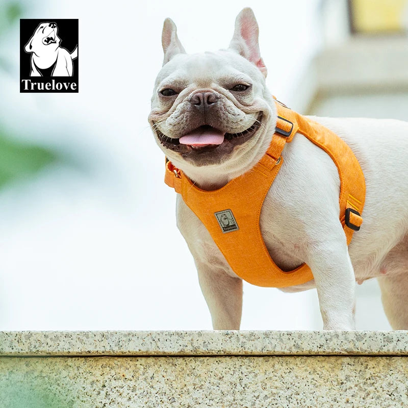 Eco Friendly No Pull Dog Harness