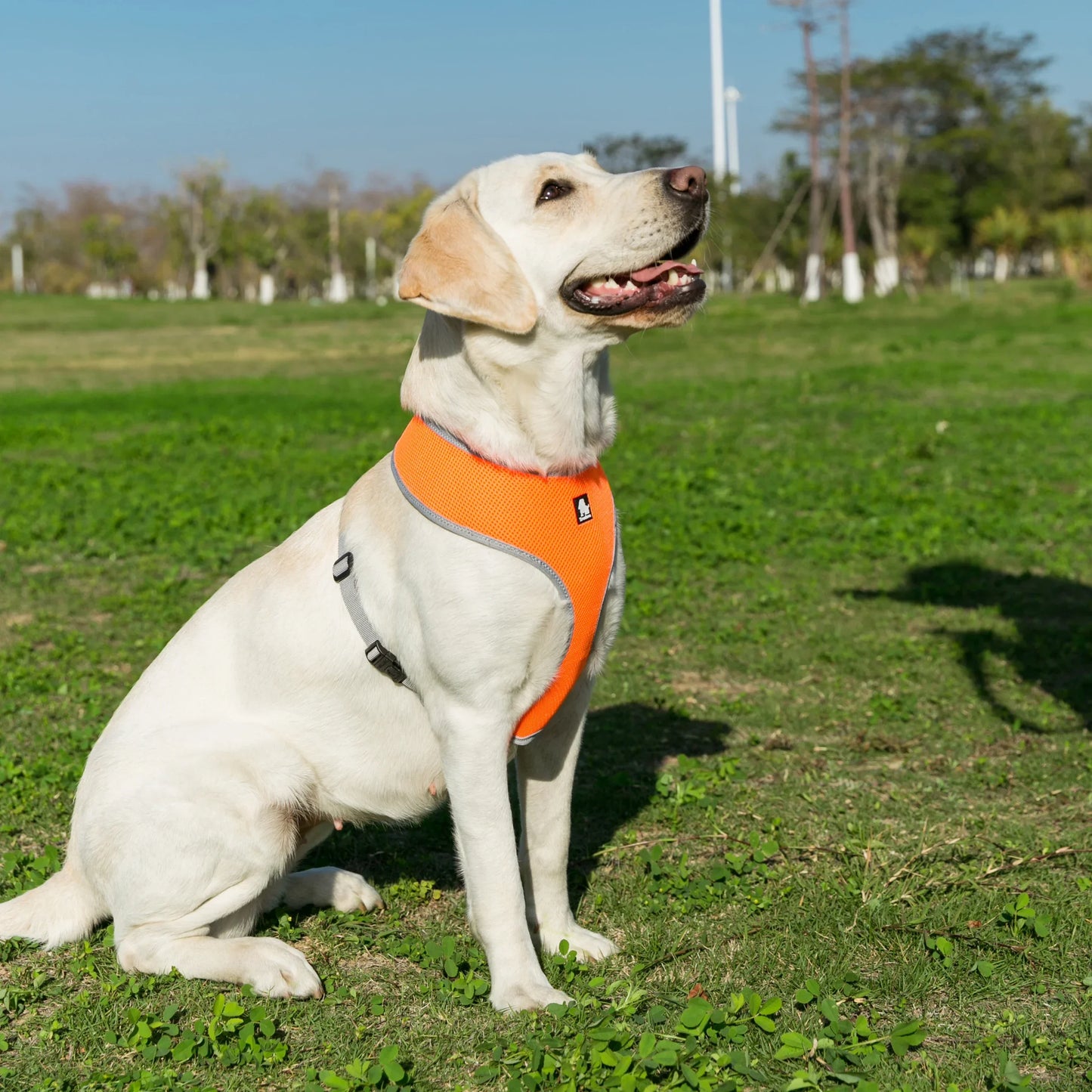Breathable Nylon Mesh Dog Harness