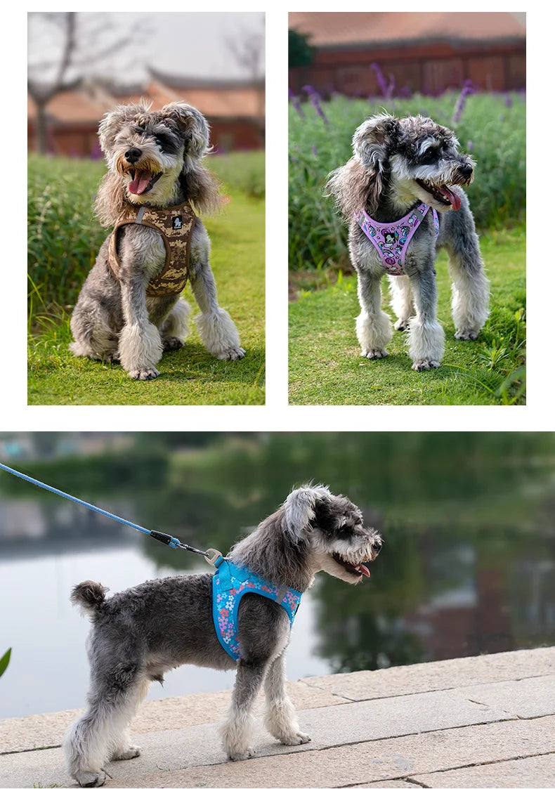Soft Mesh No Pull Adjustable Dog Harness