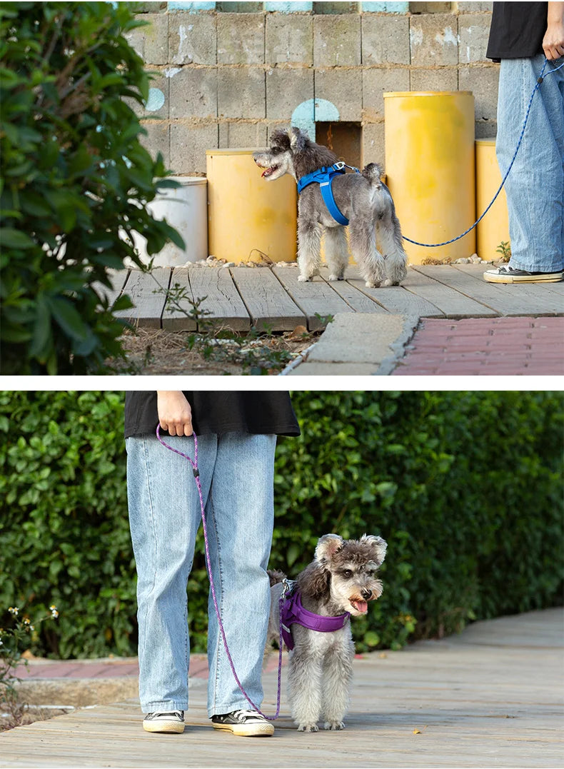 Lightweight Nylon Rope Dog Lead