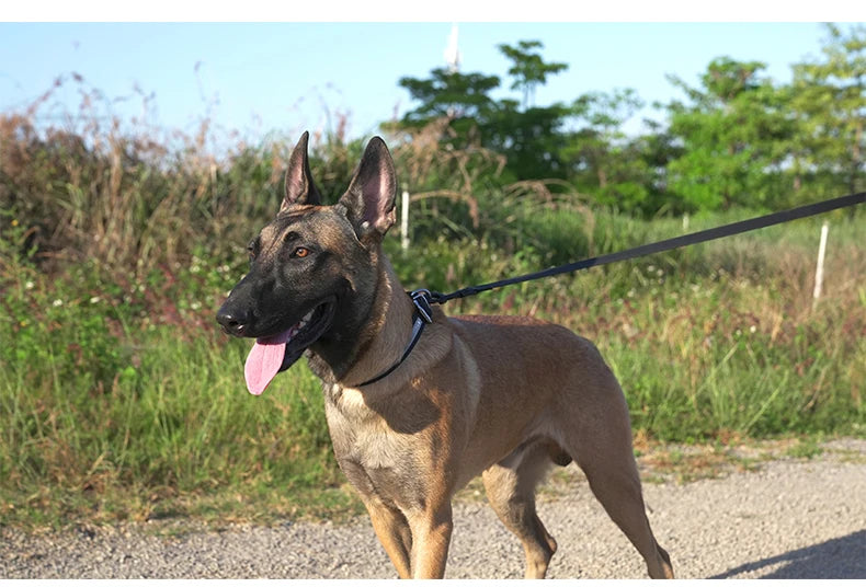 Waterproof Odour Proof Light Weight Dog Lead