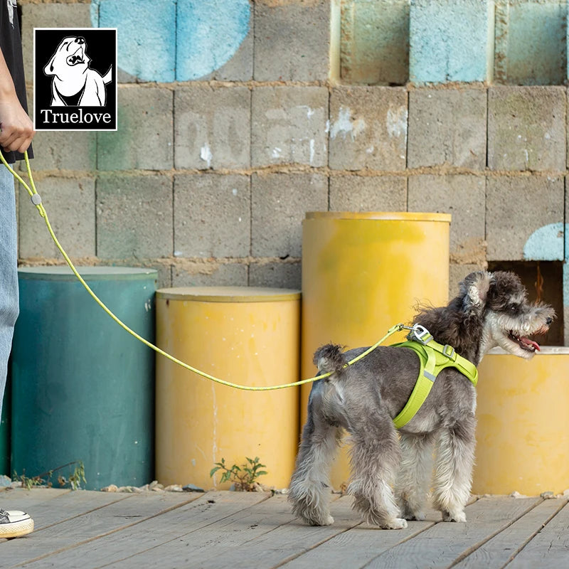 Lightweight Nylon Rope Dog Lead