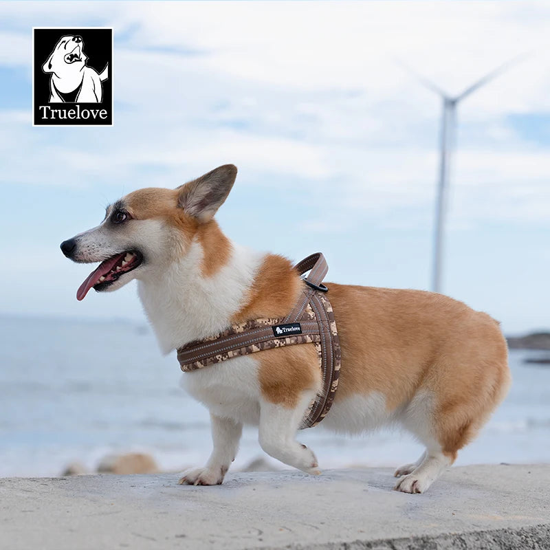Padded Quick Fit Dog Harness