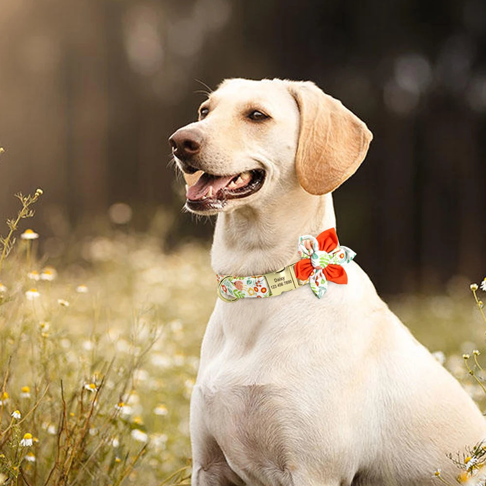Flower Power Personalised Dog Collar