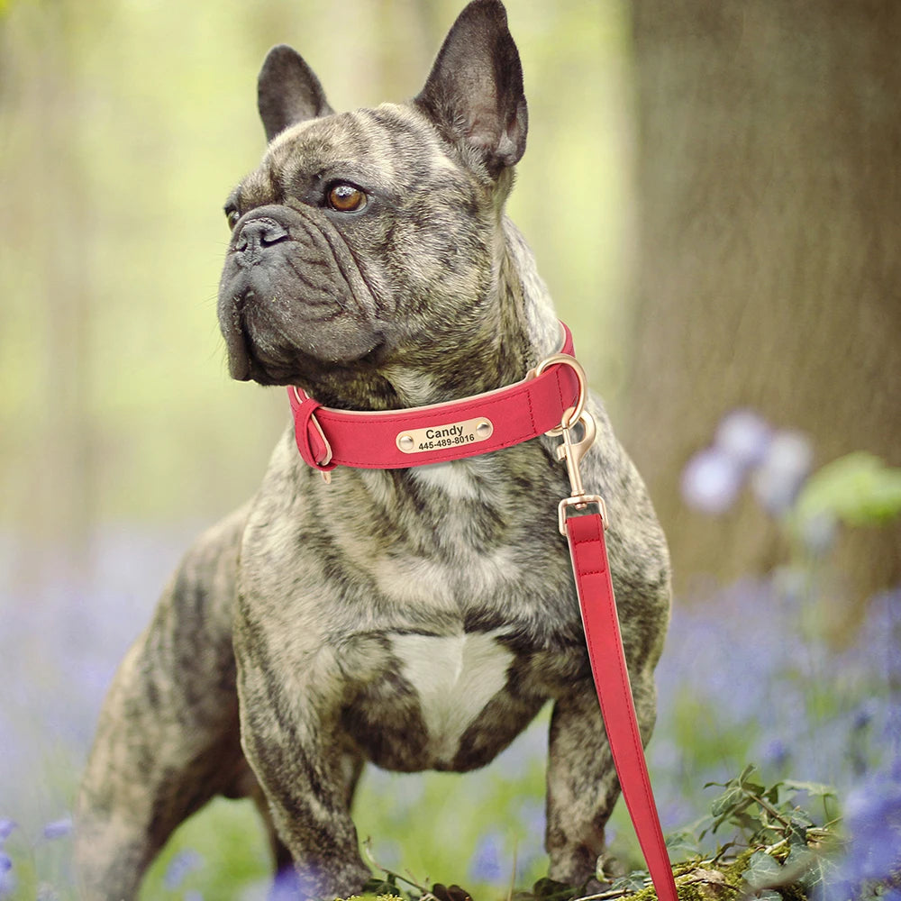 PU Leather Personalised Dog Collar  & Leash