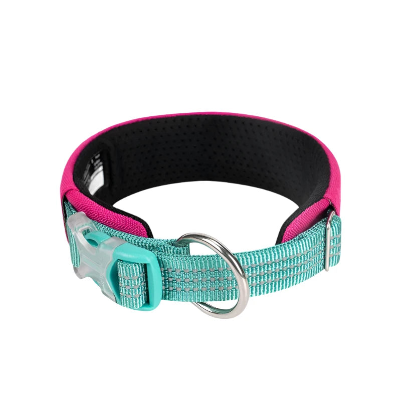 Padded Nylon Dog Collar