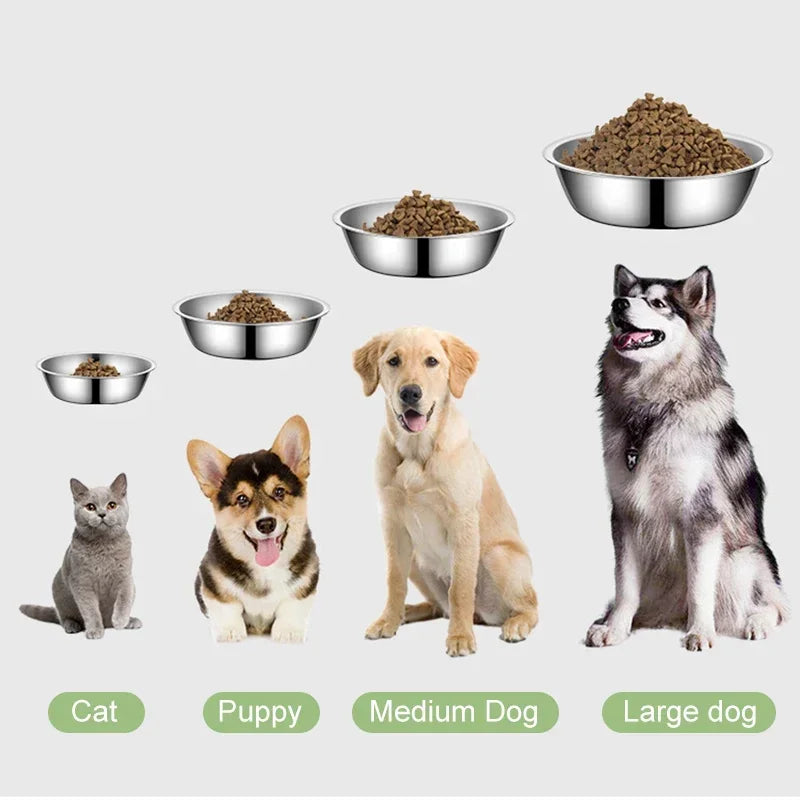 Stainless Steel Dog Food Bowl