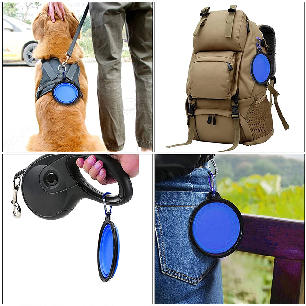 Silicone Collapsible Dog Bowl With Carabiner