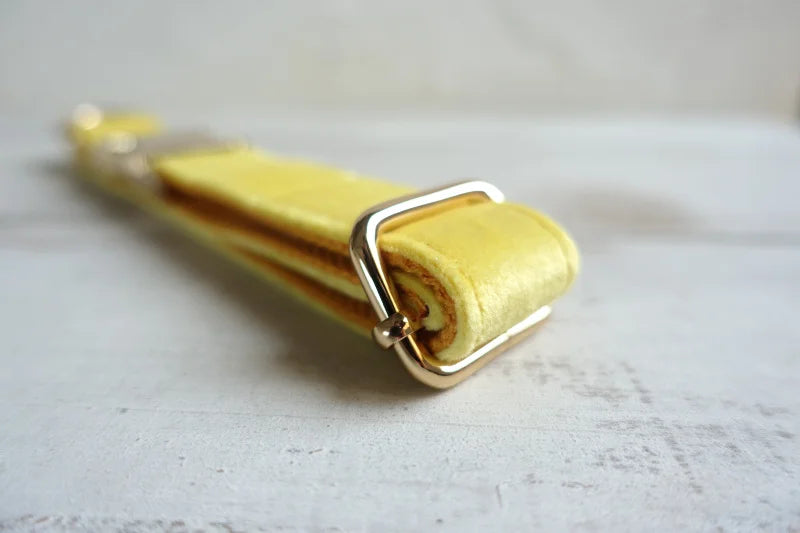 THE LEMON Engraved Dog Collar
