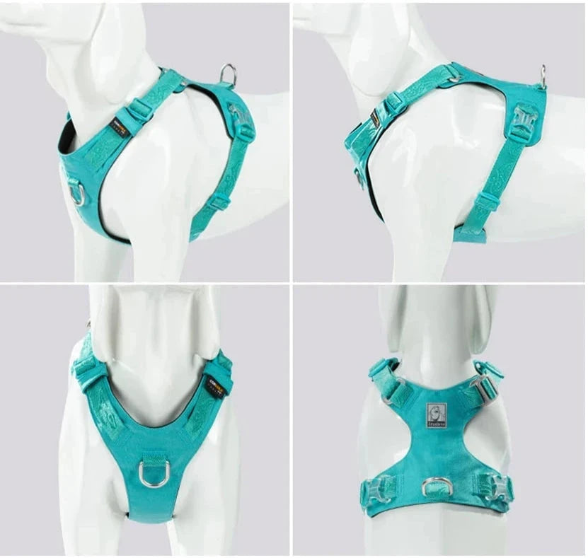 Light-Weight No Pull Dog Harness
