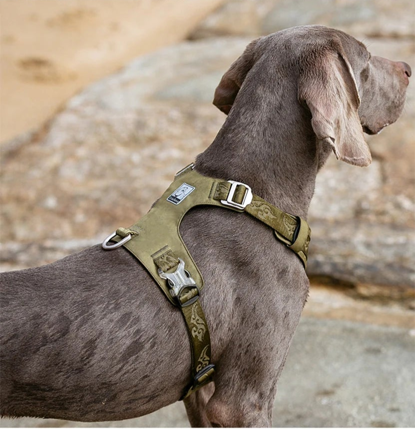 Light-Weight No Pull Dog Harness