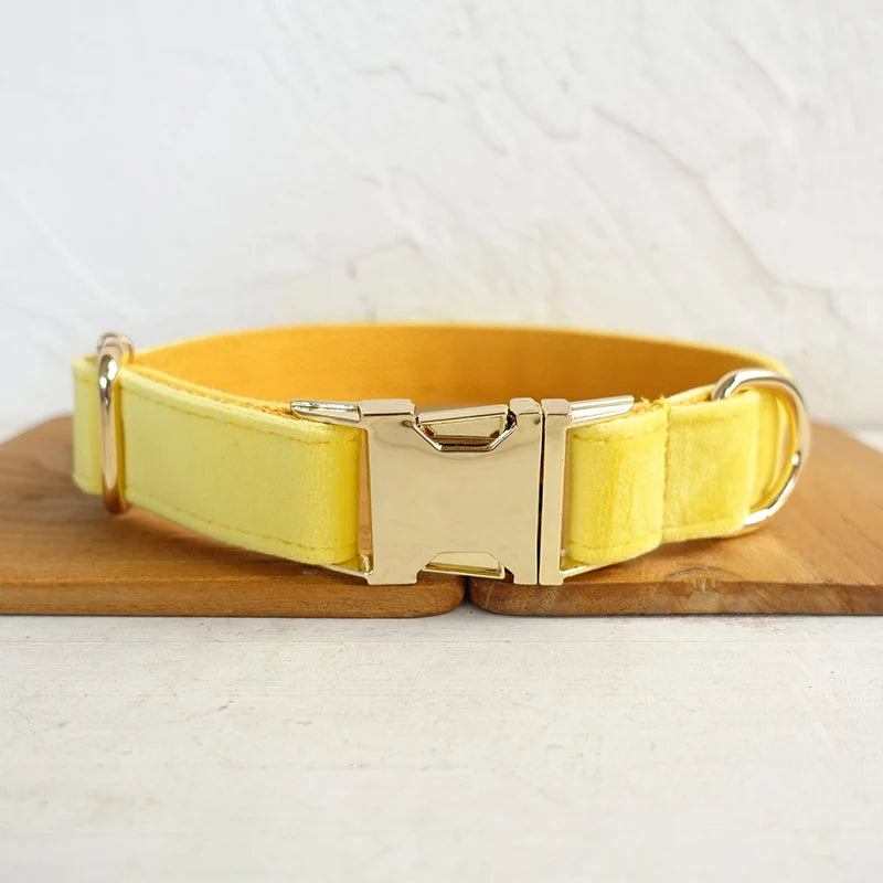 THE LEMON Engraved Dog Collar Set