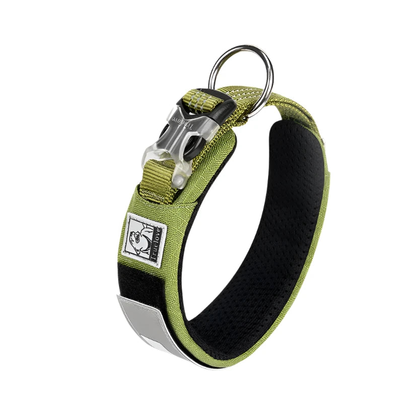 Padded Nylon Dog Collar