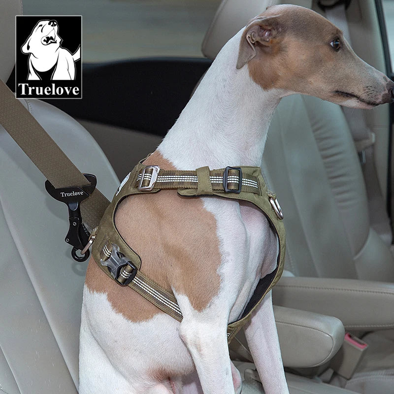 Dog Car Seat Belt Safety Buckle