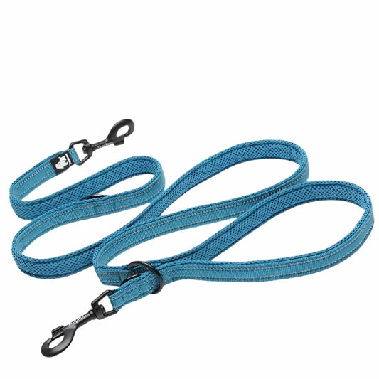 blue dog leash lead