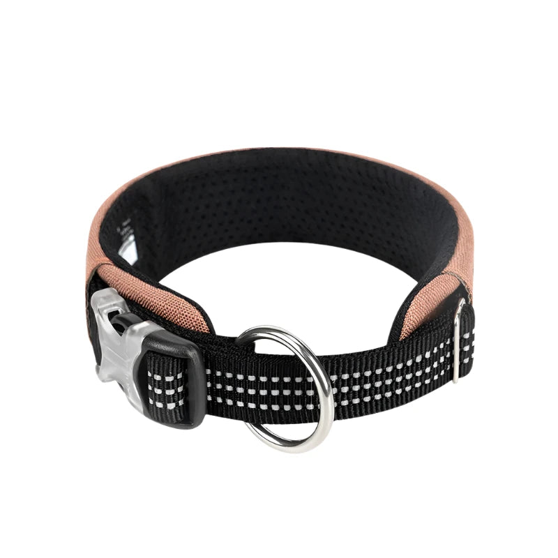 Padded Nylon Dog Collar