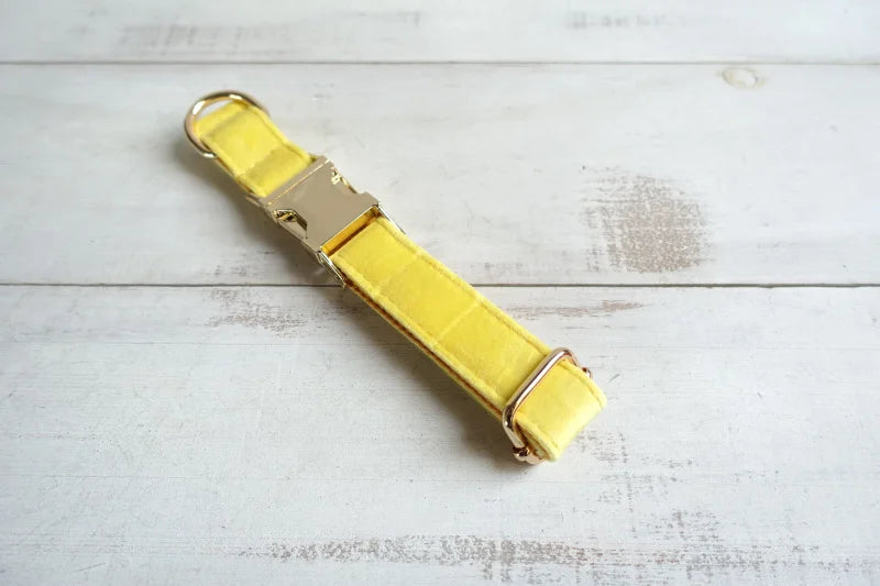 THE LEMON Engraved Dog Collar