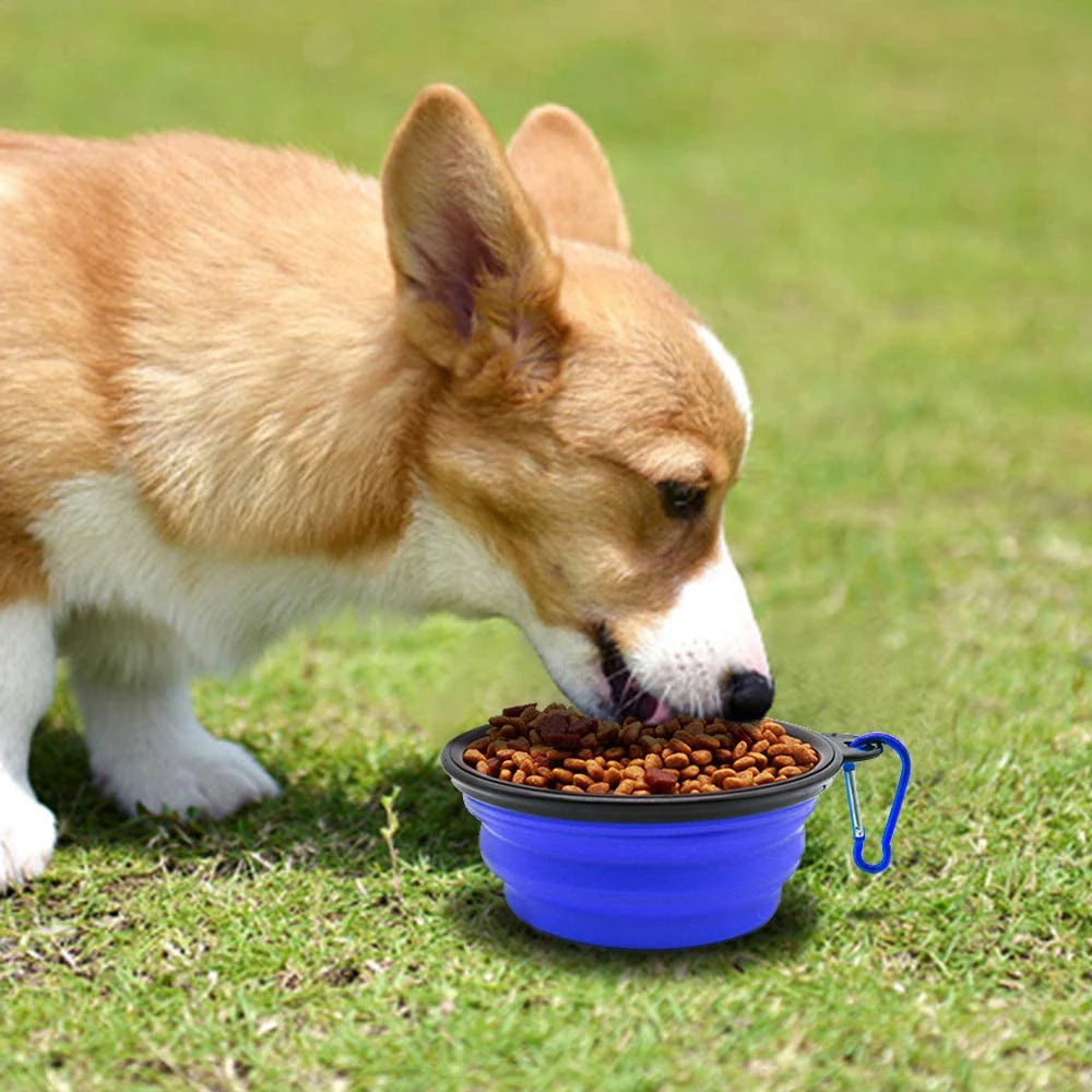 Silicone Collapsible Dog Bowl With Carabiner
