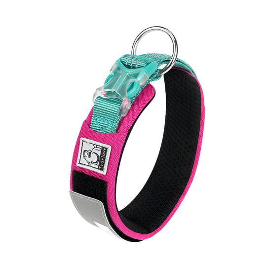 Padded Nylon Dog Collar