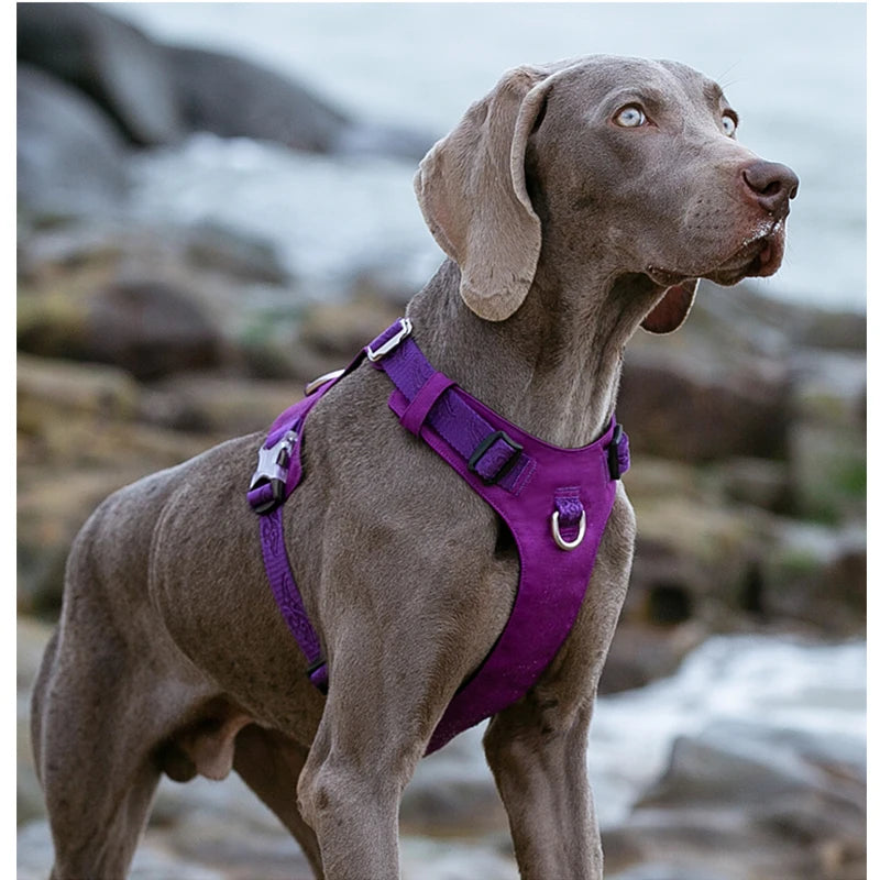 Light-Weight No Pull Dog Harness