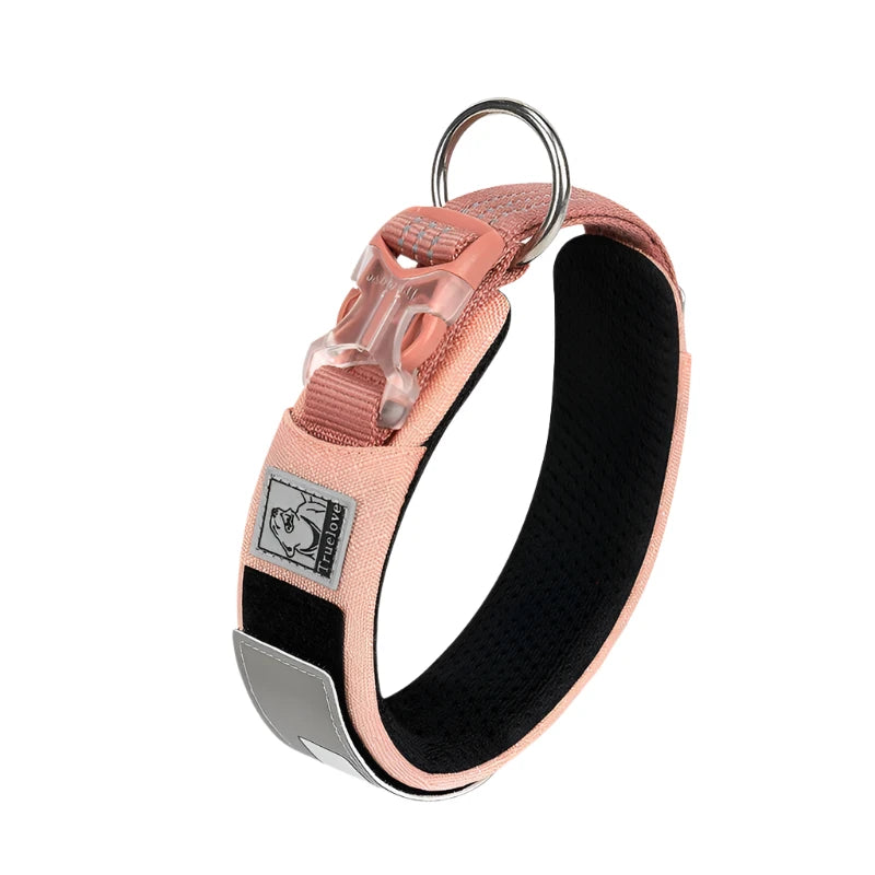Padded Nylon Dog Collar